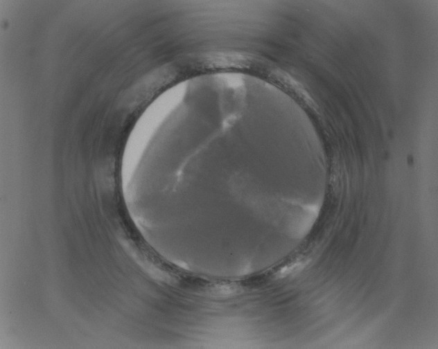 X0000067390402200604281847