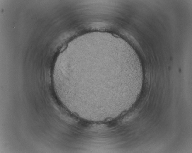 X0000067390403200604281847