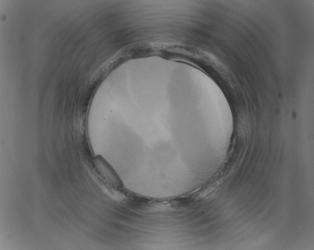 X0000067390405200604281847