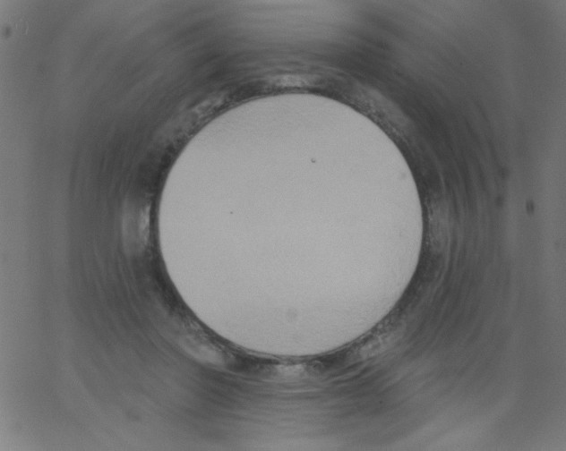 X0000067390406200604281847