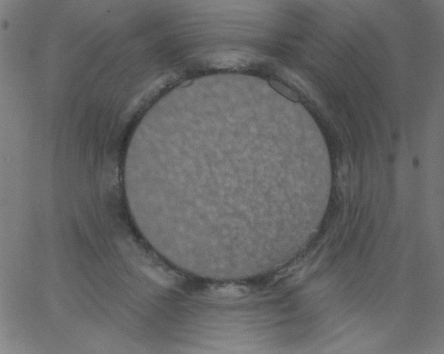 X0000067390407200604281847