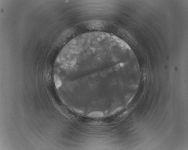 X0000067390408200604281847