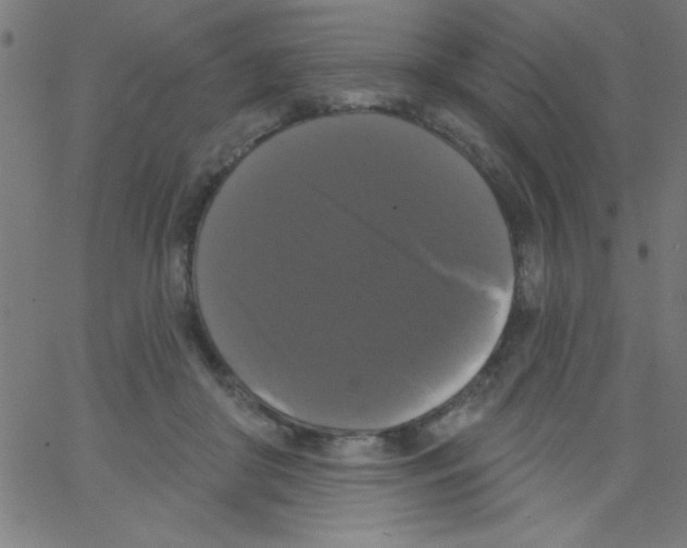 X0000067390410200604281847