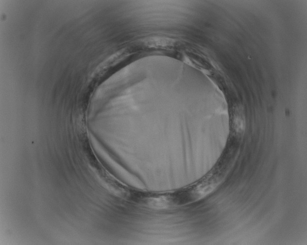 X0000067390411200604281847