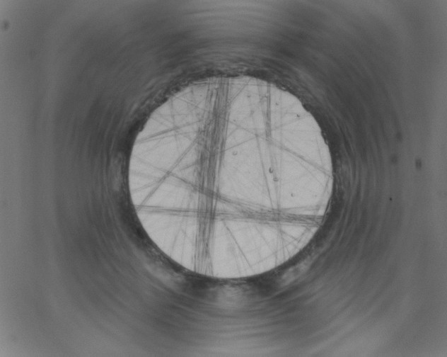 X0000067390412200604281847