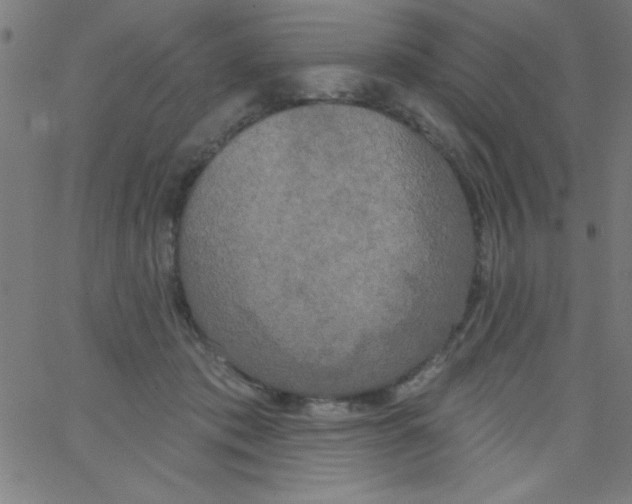 X0000067390413200604281847