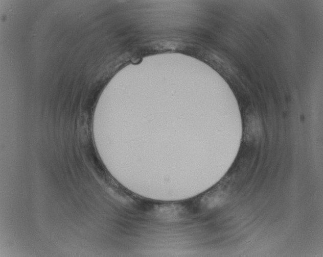 X0000067390414200604281847