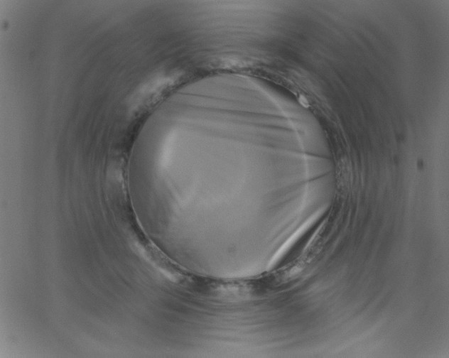 X0000067390415200604281847