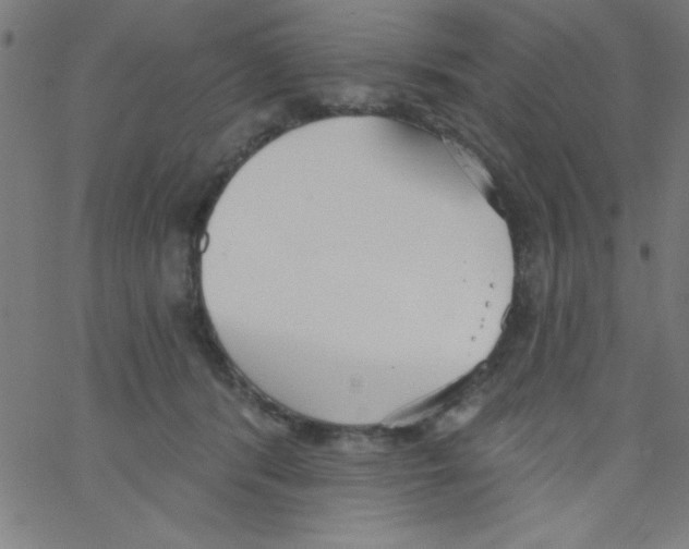 X0000067390416200604281847