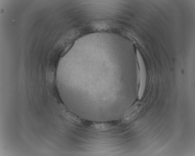 X0000067390417200604281847