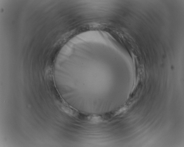 X0000067390419200604281847