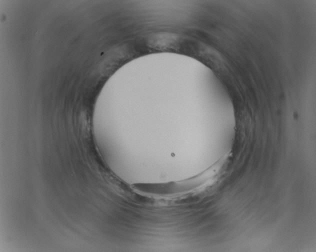 X0000067390420200604281847