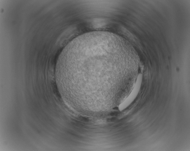 X0000067390421200604281847