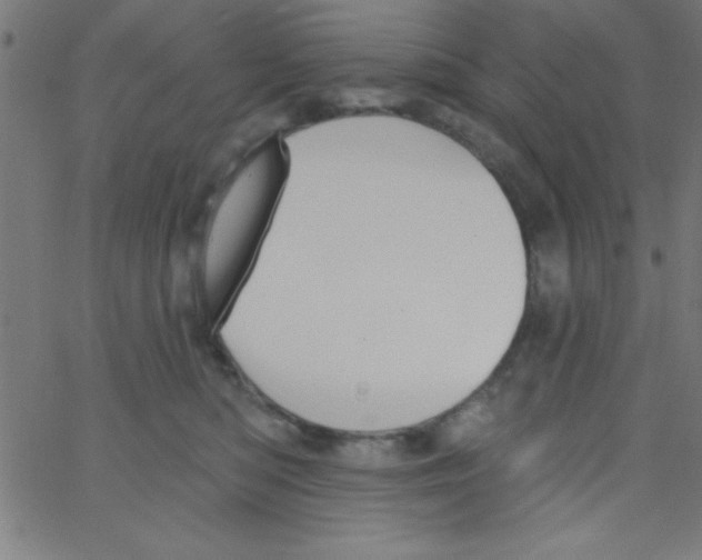 X0000067390422200604281847