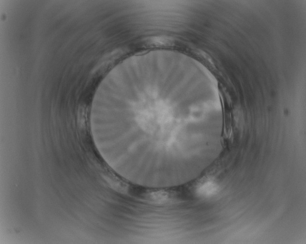 X0000067390423200604281847