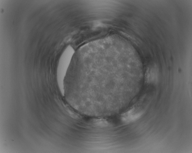 X0000067390424200604281847