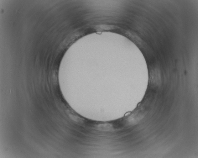 X0000067390426200604281847