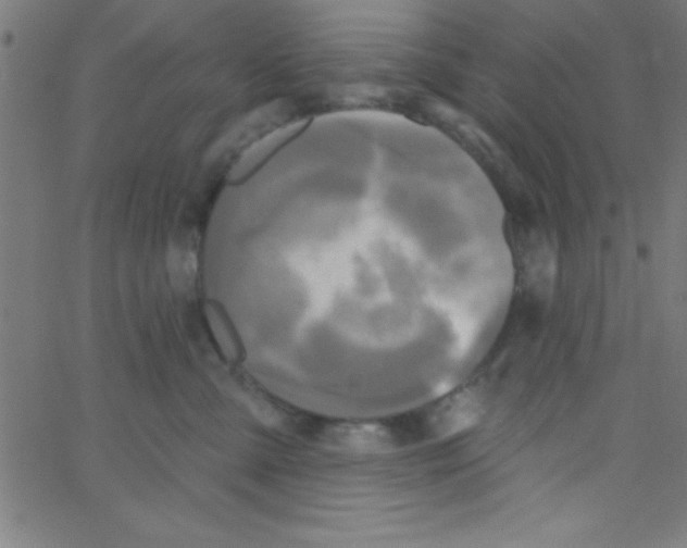 X0000067390427200604281847