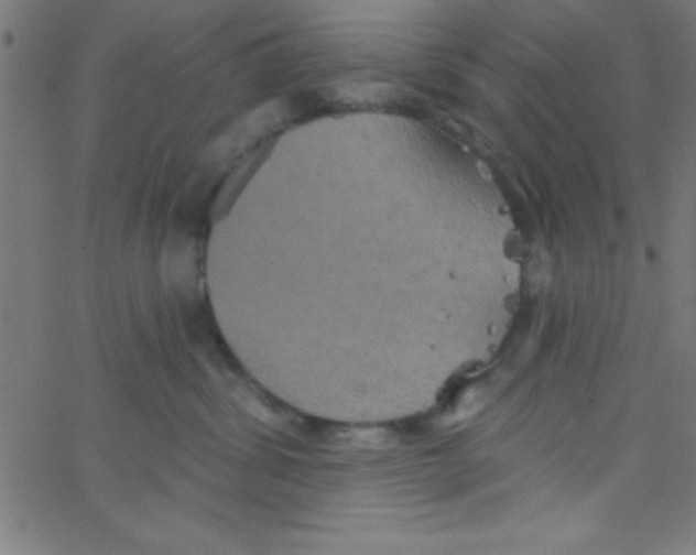 X0000067390428200604281847