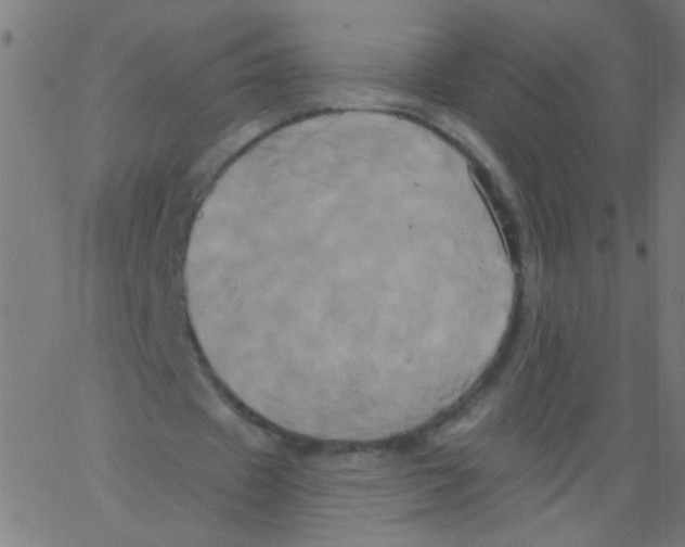 X0000067390433200604281846