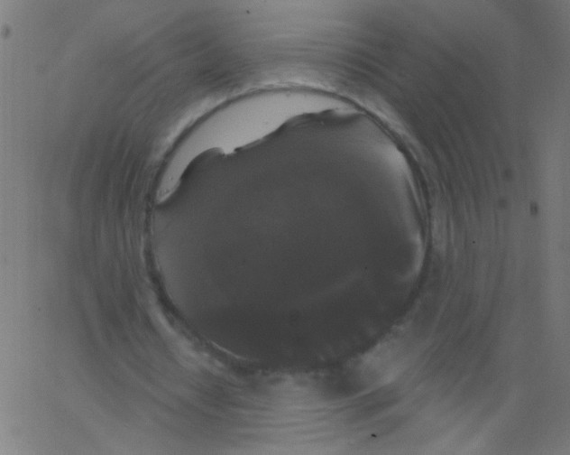 X0000067390434200604281846