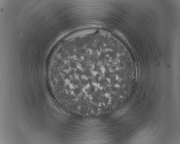 X0000067390435200604281846