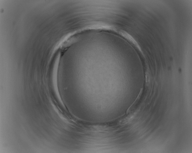 X0000067390436200604281846