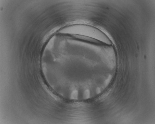 X0000067390437200604281846