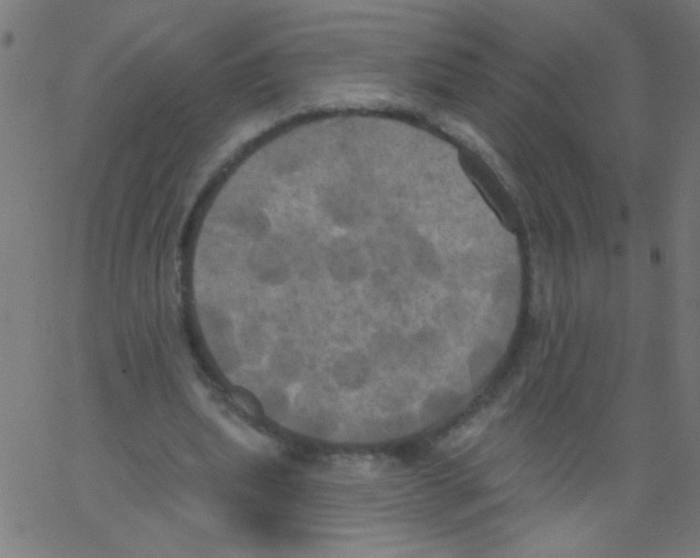 X0000067390439200604281846