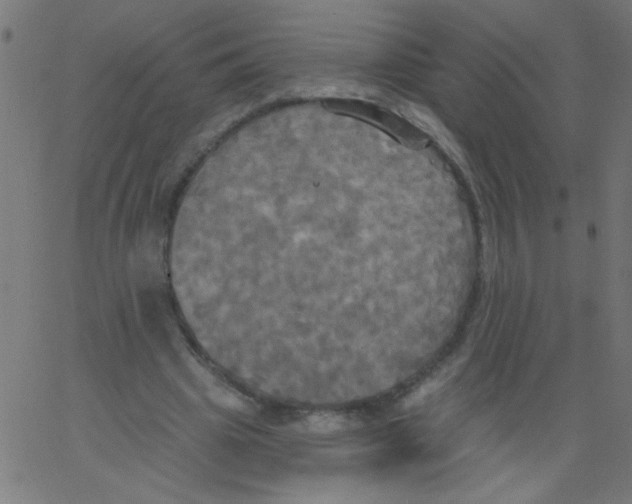 X0000067390441200604281846