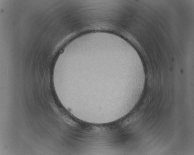 X0000067390442200604281846