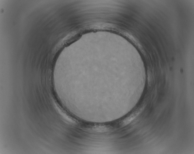 X0000067390445200604281846