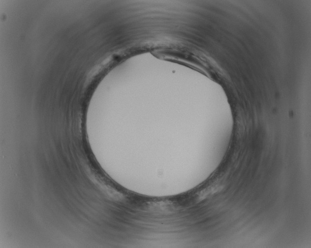 X0000067390446200604281846