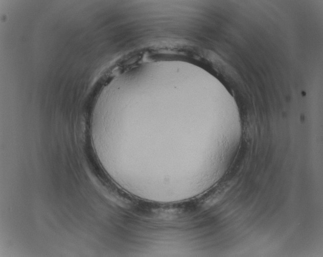 X0000067390448200604281846