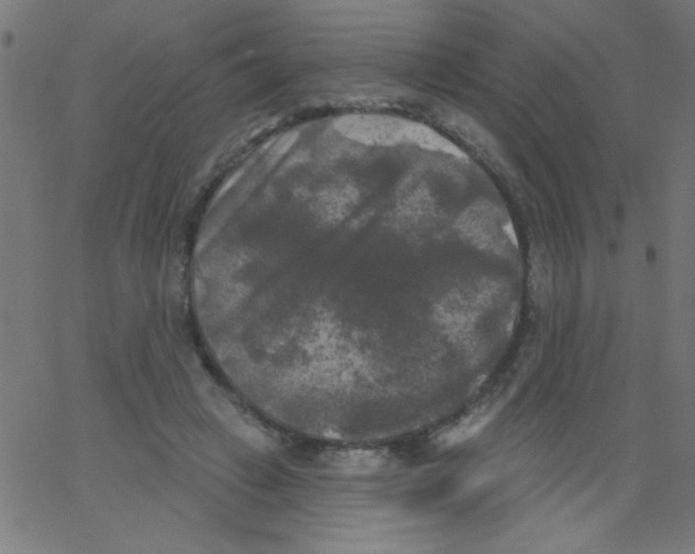 X0000067390449200604281846