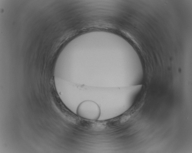 X0000067390451200604281846