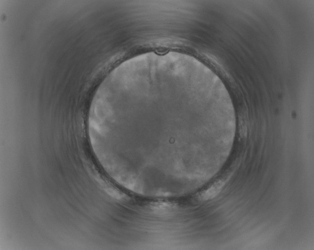 X0000067390453200604281846