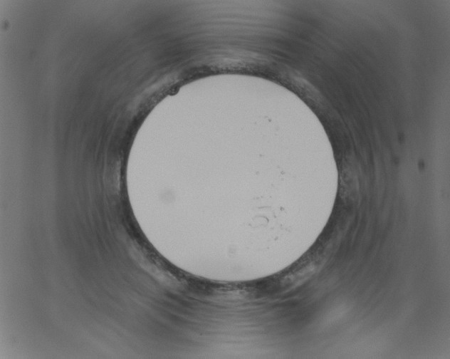 X0000067390454200604281846