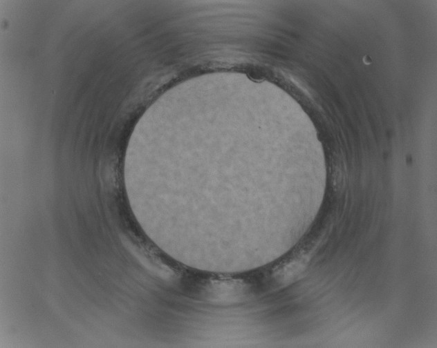 X0000067390455200604281846