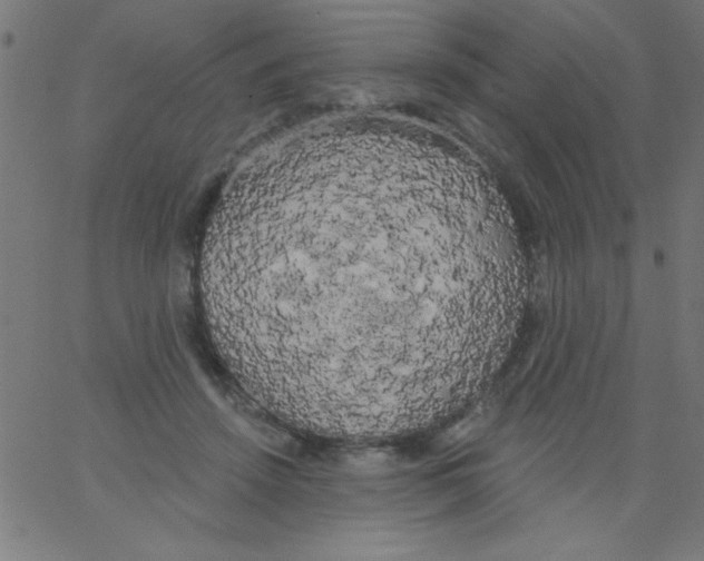 X0000067390456200604281846