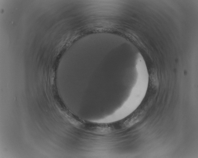 X0000067390458200604281846