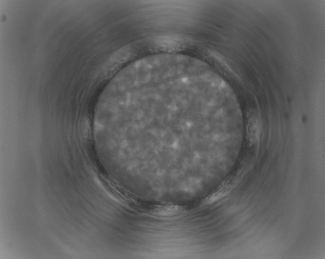 X0000067390459200604281846