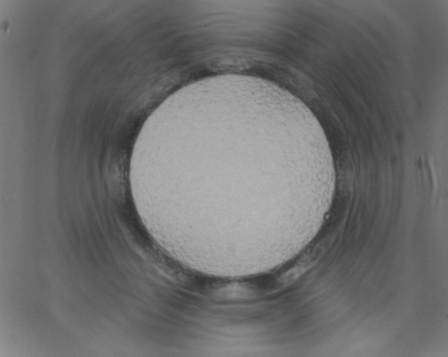 X0000067390460200604281846