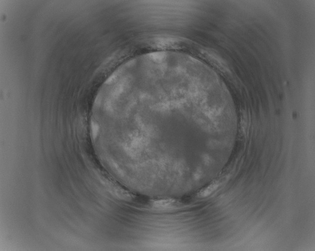 X0000067390461200604281846