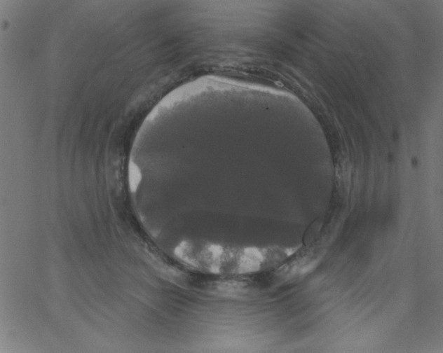 X0000067390462200604281846