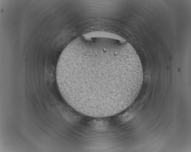 X0000067390464200604281847