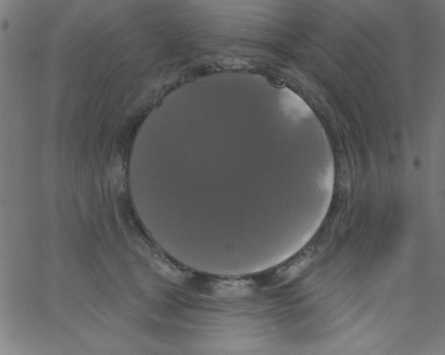 X0000067390465200604281847