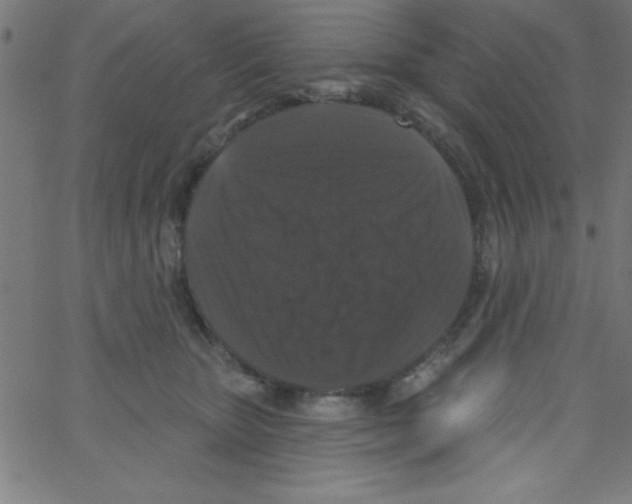 X0000067390467200604281847