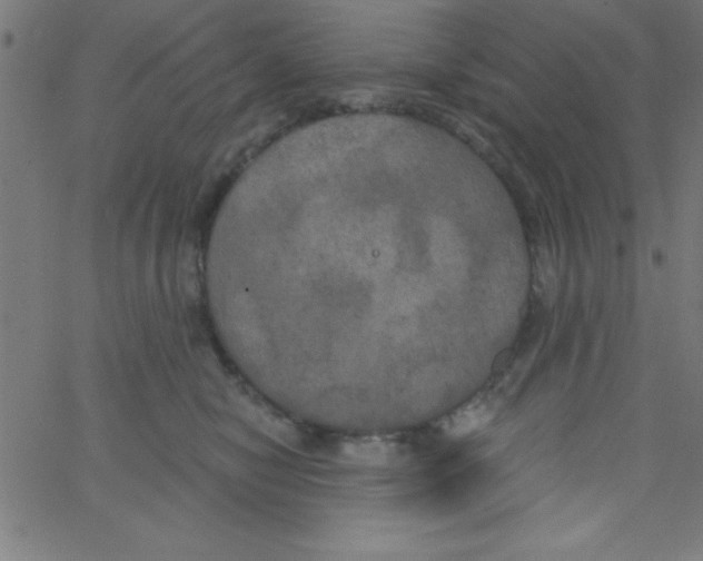 X0000067390470200604281847