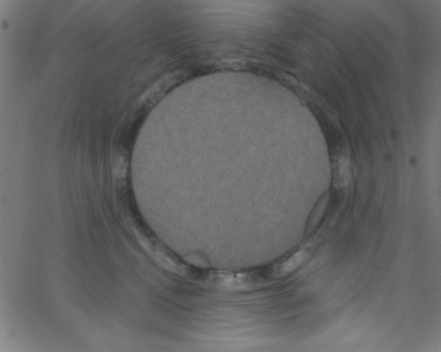 X0000067390472200604281847